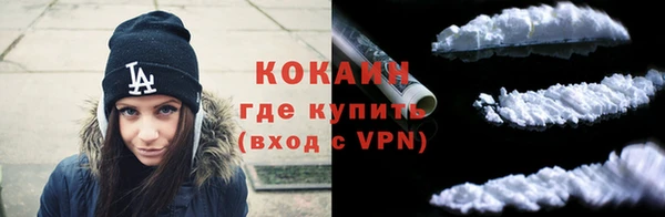 сатива Баксан