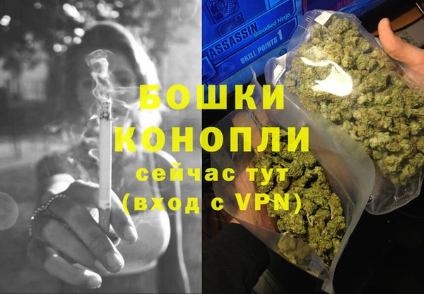 сатива Баксан