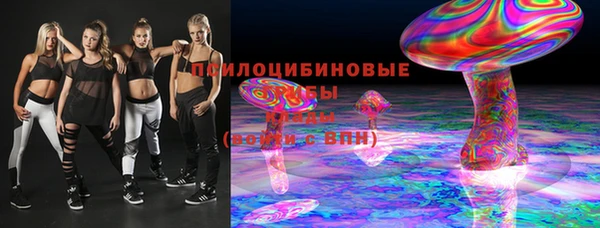 сатива Баксан