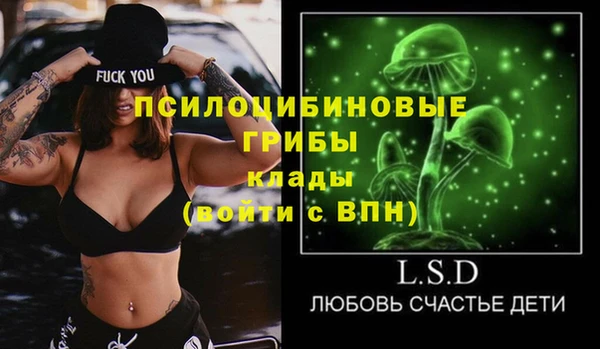 сатива Баксан