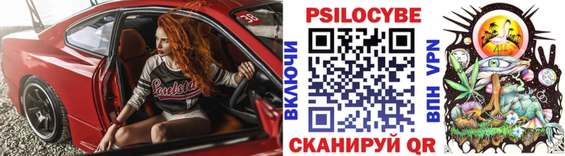 Галлюциногенные грибы Cubensis  Болохово 